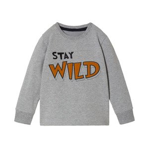 lupilu® Detské termotričko s dlhým rukávom (110/116, sivá)