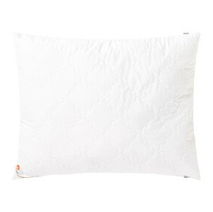 LIVARNO home Vankúš Polygiene®, 70 x 90 cm