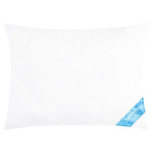 LIVARNO home Vankúš „Starfill“, 70 x 90 cm